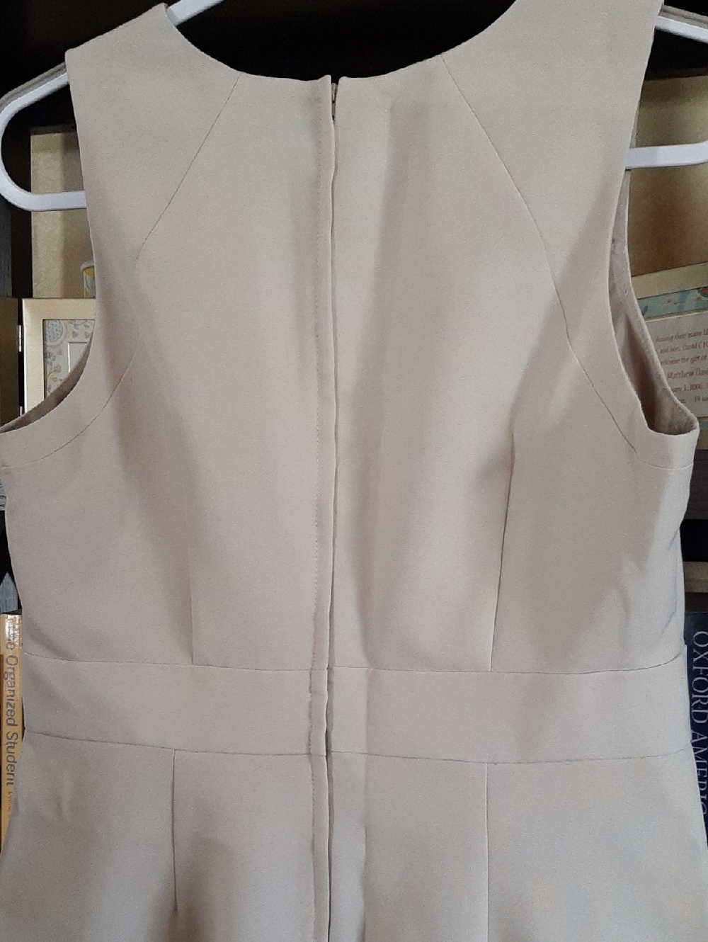 Dorothy Perkins Sleeveless Tan Sheath Dress Sz 10 NWT - Picture 5 of 9